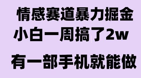 情感暴力掘金项目，新人操作一周挣了2W，长期稳定小白可做-创业项目网