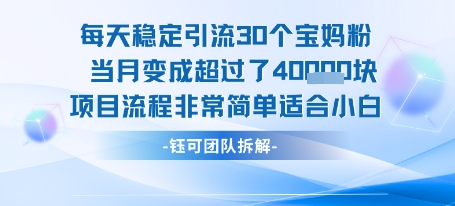 每天稳定引流30个人 当月变成超过了4个W 项目流程非常简单 适合小白-创业项目网