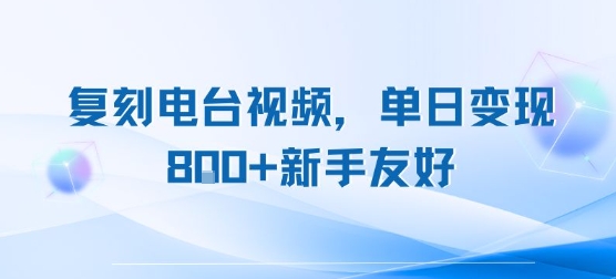 复刻电台视频，单日变现800+，新手友好，长期可做-创业项目网