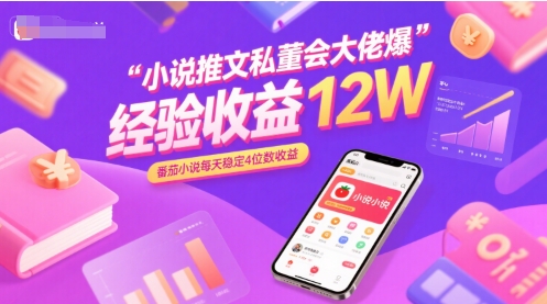 小说推文私董会大佬爆单经验分享收益12W，番茄小说每天稳定4位数收益-创业项目网