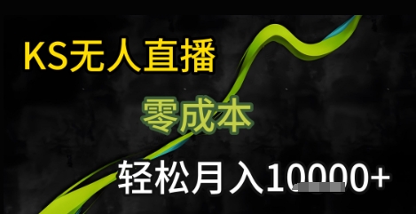 快手无人直播25年最新玩法，只需一部手机，轻松月入1W+-创业项目网