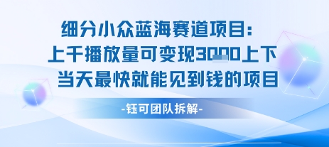 小众蓝海赛道项目：当天变现1k+适合新手操作 +适合长期玩-创业项目网
