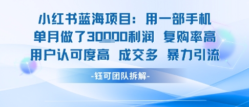 小红书蓝海项目，一部手机单月做了3W利润，小白也能月入过1W用户认可度高成交多-创业项目网