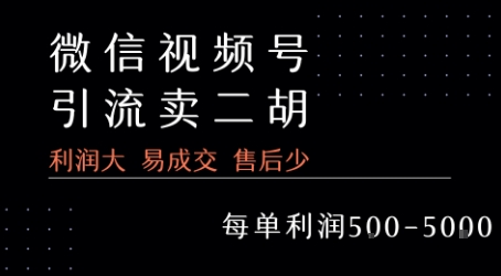 视频号卖二胡教程，利润大 易成交 售后少，一单利润500+-创业项目网