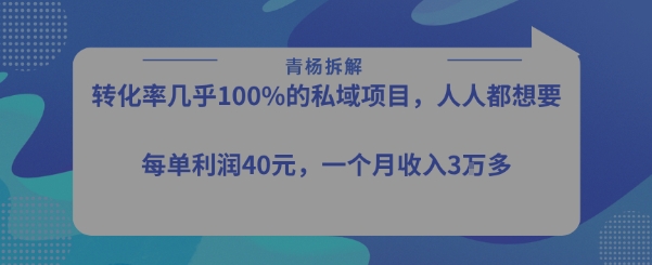转化率最高的私域项目，每单利润40-50米，月入过1w-创业项目网