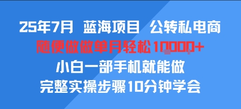 25年7月蓝海项目，公转私电商，随便做做单月轻松1w，小白一部手机就能做，完整实操步骤10分钟学会-创业项目网