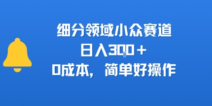 细分领域小众赛道，日入300+，0成本，简单好操作-创业项目网