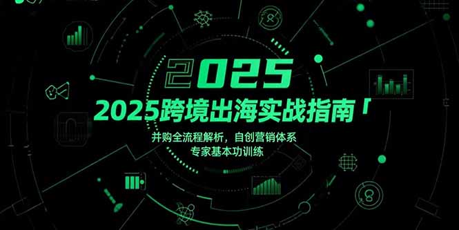 2025跨境出海实战指南，并购全流程解析，自创营销体系，专家基本功训练-创业项目网