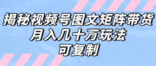 解密视频号图文矩阵带货，月入几个W的打法，可复制-创业项目网