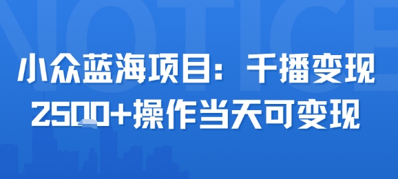 小众蓝海项目，千播变现2500+，操作当天可变现-创业项目网