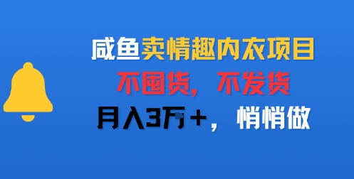 闲鱼卖情趣内衣项目，不囤货，不发货，月入3W+，悄悄做-创业项目网