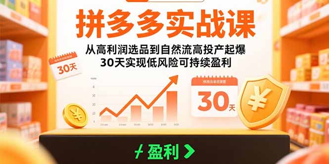 拼多多实战课：从高利润选品到自然流高投产起爆 30天实现低风险可持续盈利-创业项目网