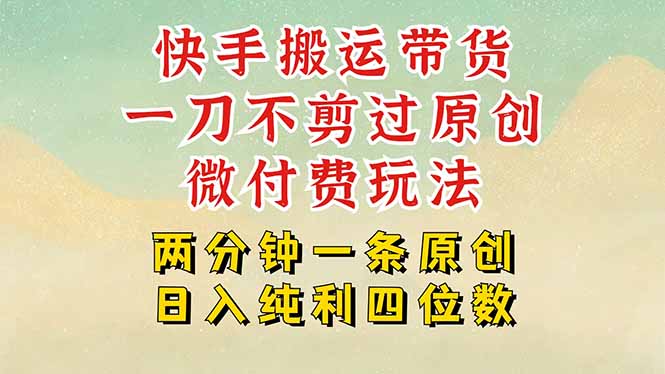 快手黑科技搬运带货，一刀不剪过原创，微付费投流玩法，轻松日入四位数-创业项目网