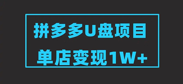 2025版拼多多冷门虚拟U盘项目玩法，单店铺月变现1w+，稳赚不赔！-创业项目网