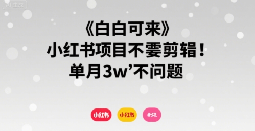 小白可来 小红书项目不需要剪辑 单月3w不是问题-创业项目网