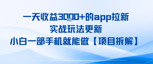 一天收益1k+的app拉新，实战玩法更新，小白一部手机就能做【项目拆解】-创业项目网