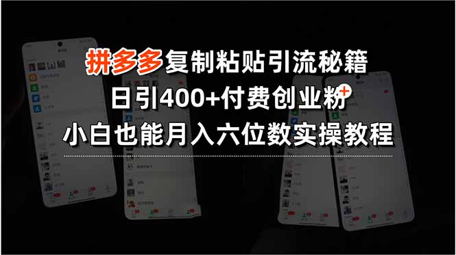 拼多多复制粘贴引流秘籍，日引400+付费创业粉，小白也能月入六位数实操教程-创业项目网