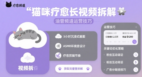 猫咪疗愈长视频拆解 &油管频道运营技巧-创业项目网