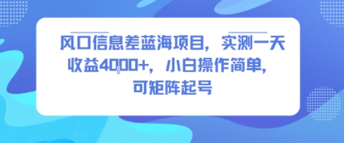 风口信息差蓝海项目，实测一天收益4k+，小白操作简单，可矩阵起号-创业项目网