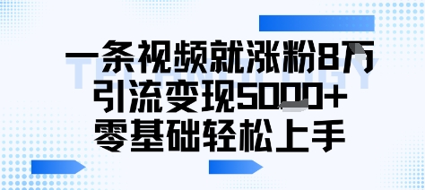 一条视频就涨粉8W引流变现5k+，0基础项目轻松上手-创业项目网