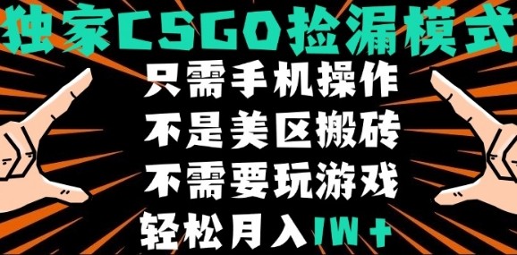 CSGO自动捡漏项目，最新独家玩法，不是美区搬砖，不需要了解和玩游戏，新手小白轻松月入1W+-创业项目网
