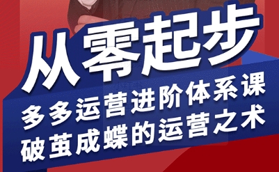 拼多多运营进阶系统课，从零起步，多多运营进阶体系课，破茧成蝶的运营之术-创业项目网