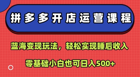 拼多多开店运营课程：蓝海变现玩法，轻松实现睡后收入，零基础小白也可日入500+-创业项目网
