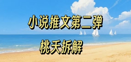 小说推文项目操作全流程第二弹，0粉就能做，门槛低非常适合新手-创业项目网