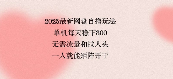 2025最新网盘自撸玩法，单机每天稳下300+，无需流量和拉人头，一个人就可轻松矩阵，全网独一份-创业项目网