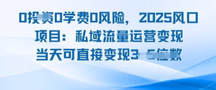 0学费0风险，2025风口项目：私域流量运营变现，当天可直接变现-创业项目网