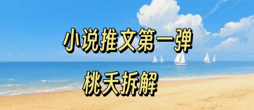 小说推文项目操作全流程第一弹，0粉就能做，门槛低非常适合新手-创业项目网