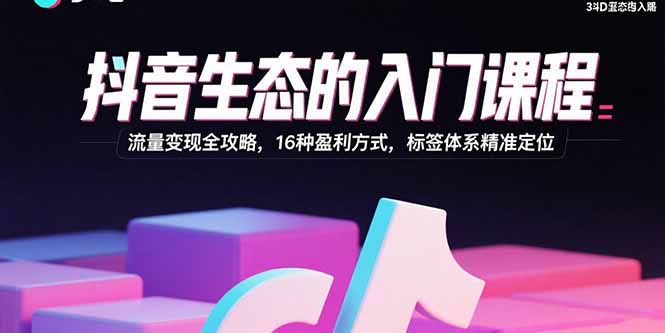 抖音生态的入门课程：流量变现全攻略，16种盈利方式，标签体系精准定位-创业项目网
