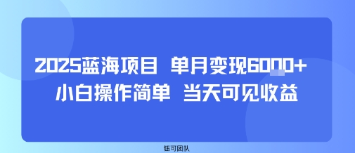 2025蓝海项目 单月变现6k+ 小白操作简单 当天可见收益-创业项目网