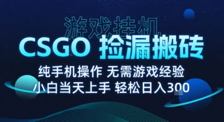 8月最新游戏搬砖，CSGO纯挂G，不需要玩游戏，实现真挂G，月入1W+-创业项目网