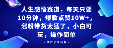 人生感悟赛道，每天只要十分钟，爆款点赞10W+，涨粉带货太猛了，小白可玩，操作简单-创业项目网