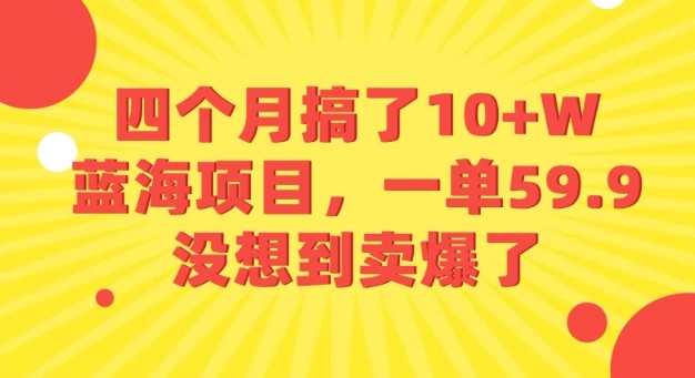 四个月搞了10+W的蓝海项目，一单59.9米，没想到卖爆了-创业项目网
