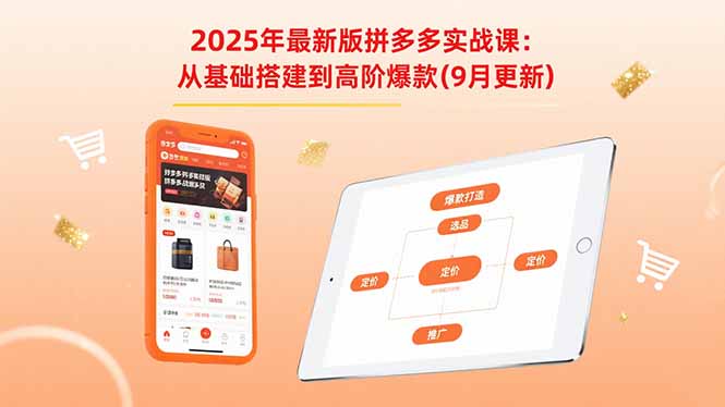 2025年最新版拼多多实战课：从基础搭建到高阶爆款（9月更新）-创业项目网