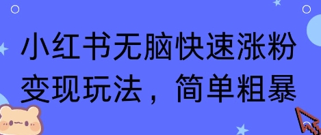 小红书无脑快速涨粉变现玩法，简单粗暴-创业项目网