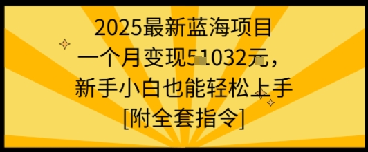 2025最新蓝海项目一个月变现1w+新手小白也能轻松上手【附全套指令】-创业项目网