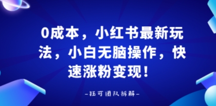 0成本，小红书最新玩法，小白无脑操作，快速涨粉变现-创业项目网
