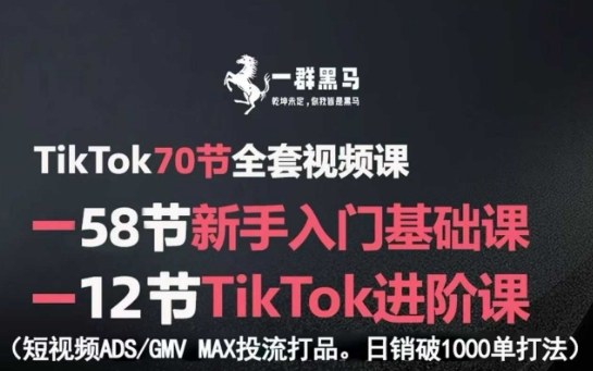 TikTok全套视频课，新手入门+进阶课，短视频ADS-GMV MAX投流打品，日销破1000单打法-创业项目网