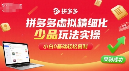 拼多多虚拟精细化少品玩法实操，小白0基础轻松复制-创业项目网