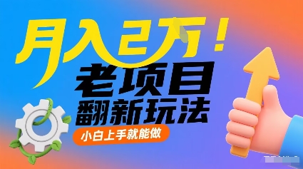 月入2W！老项目翻新玩法，小白上手就能做，非常容易上手-创业项目网