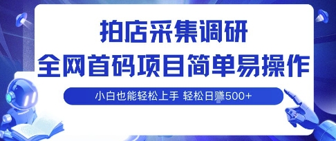 拍店采集调研，全网首码项目，简单易操作， 小白也能轻松上手，多账号操作，轻松日入500+-创业项目网