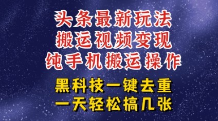 今日头条纯搬运玩法，轻松过原创不违规，轻松日入三位数，稳的很-创业项目网