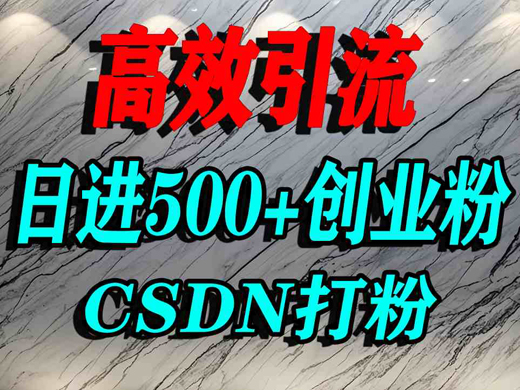 怎么打创业粉？CSDN又一个你不知道的打粉引流神秘平台，单人日引500+精准流量-创业项目网