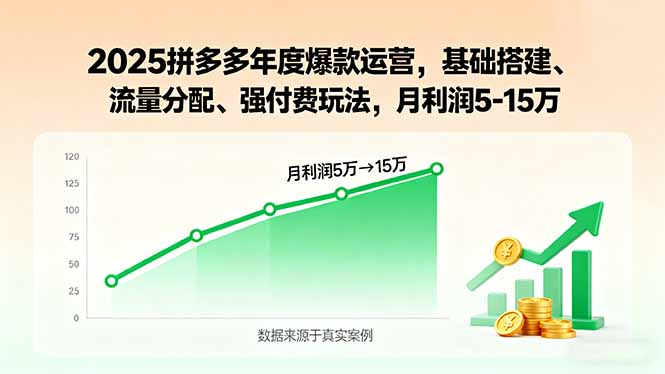 2025拼多多年度爆款运营，基础搭建、流量分配、强付费玩法，月利润5-15万-创业项目网