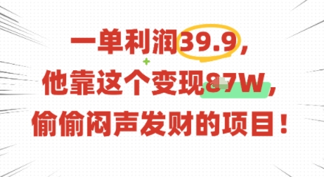 一单利润39.9，有人靠这个变现几十个，偷偷闷声发财的项目-创业项目网