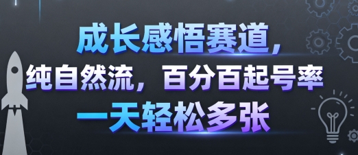 成长感悟赛道，纯自然流，百分百起号率 一天轻松多张-创业项目网