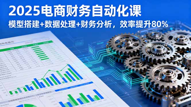 2025电商财务自动化课，模型搭建+数据处理+财务分析，效率提升80%-创业项目网